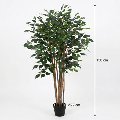Künstlicher Ficus Benjamina (150 cm) – Pflegeleicht & Immergrün