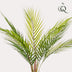 Kunstpalme Chamaedorea Elegans Bergpalme 50cm Bild 4