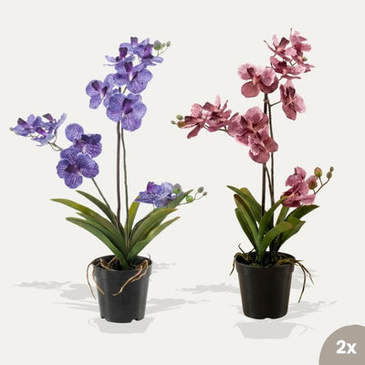 Orchidee Vanda mix - 2 Stück - Kunstpflanzen - Bundle-Set