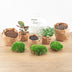 Bottle Garden - Dome - ↕ 20 cm - Rake + Shovel + Tweezers Bild 5