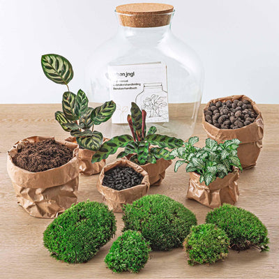 Flaschengarten DIY-Set: Fat Joe mit Pflanzen & Werkzeug
