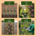 6x Passiflora Victoria - Rote & Rosa Passionsblume, Kletterpflanze, Ø9cm Bild 6