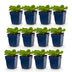 Green boutiQ - Perennials - Bergenia cordifolia - Heartleaf - Shade - Pink - 12 plants - Pot 11cm - Height 15-25cm Bild 2