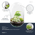 Flaschengarten Egg XL - DIY Pflanzterrarium Set Bild 4