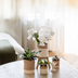 Kolibri Company | White Bamboo Plant Set | White Amabilis Orchid Ø9cm + Green Plant incl. Ceramic Pots Bild 4