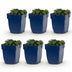 Green boutiQ - Perennial - Geranium sang. Max Frei - Crane's Bill - Ground Cover - Pink - 6 Plants - Pot 11cm - Height 15-25cm Bild 1