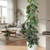 Philodendron Scandens Kletterpflanze, 160 cm, Dunkelgrün, Herzblätter Bild 3