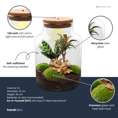 DIY Pflanzen-Terrarium mit Licht - Milky Palm Ø 21 cm