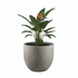 Planter Grigio New Egg Natural Concrete - D55 x H46 Bild 3