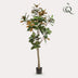 Künstliche Magnolie Grandiflora 180 cm - Natürliche Eleganz für Ihr Zuhause Bild 3