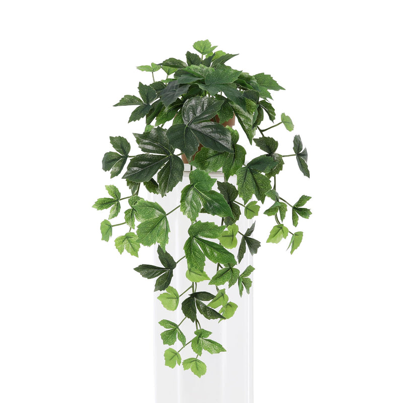 Künstliche Hänge-Efeu-Pflanze (48cm) - Zeitlose Deko ohne Pflege