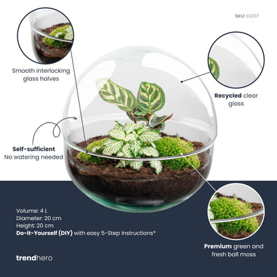 Flaschengarten Dome: DIY-Pflanzterrarium Set mit Fittonia & Calathea