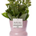 Kalanchoe Pink Zimmerpflanze in rosa Keramikvase - Pflegeleicht & Dekorativ Bild 1