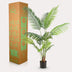 Künstliche Howea Forsteriana Palme, 140 cm – Tropisches Flair Bild 6