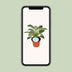 Philodendron Birkin - Ø14cm - H25cm - Pflegeleicht & Dekorativ Bild 5
