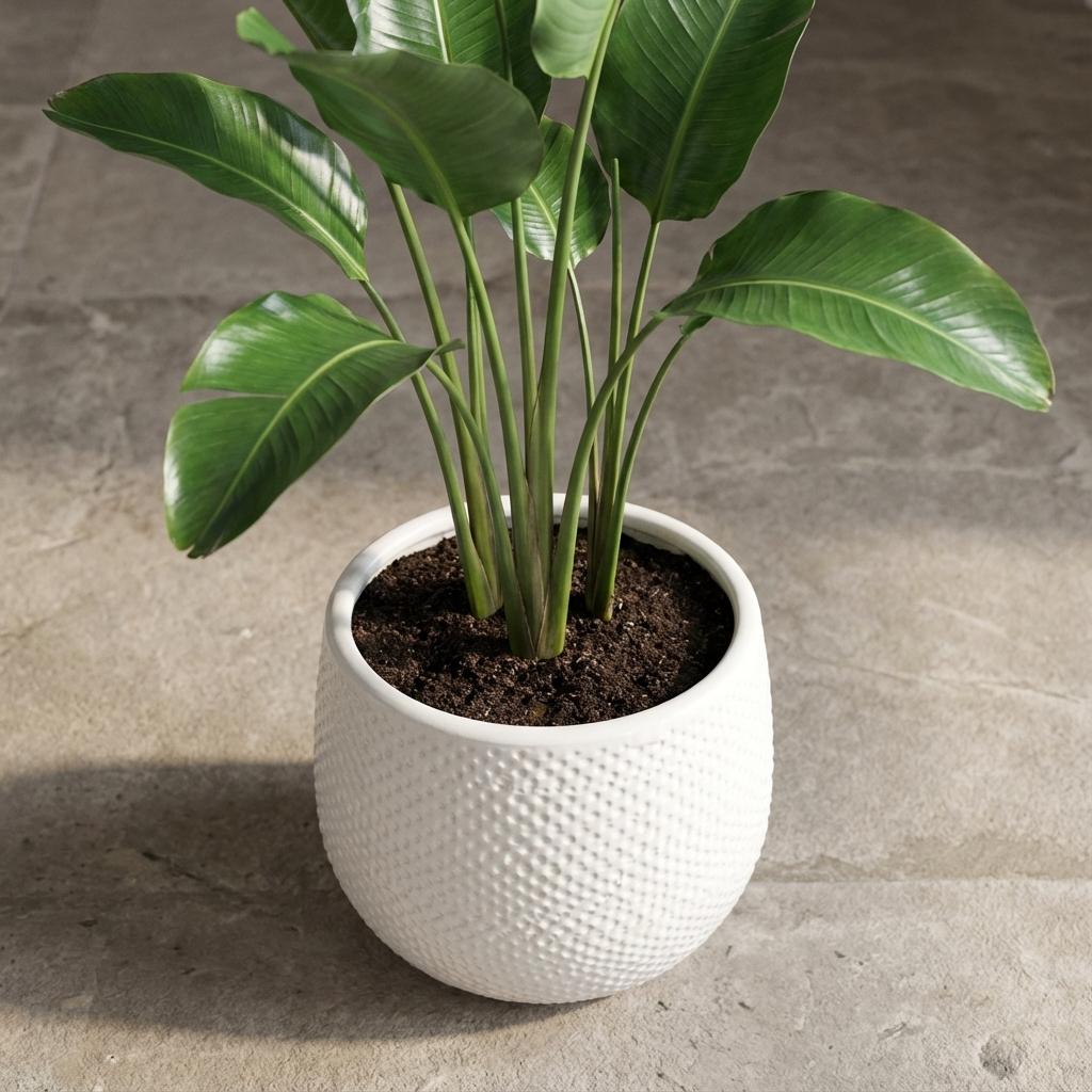 Pot Gabriel rond wit D14