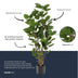 Artificial plant Polyscias tree, 105 cm Bild 4