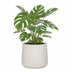 Jumbo Patt Elfenbein gewaschen Blumentopf D73xH61 cm Bild 3