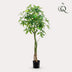 Artificial Pachira Aquatica Money Tree 150cm Bild 3