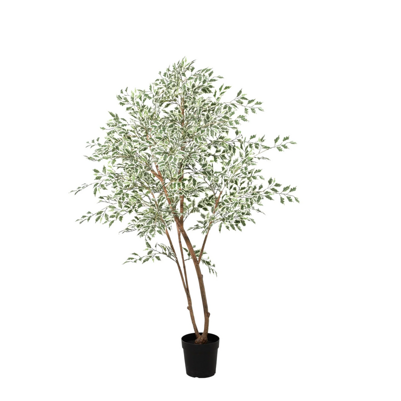 Kunst Ficus benjamina variegata 185cm - Künstliche Pflanze