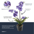 Orchidee Vanda kunstplant 60 cm - Paars - In pot - Artificial plant