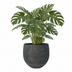 Orb Plant Pot Black Washed - D32 x H28 cm Bild 3
