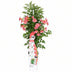 Campsis 'Pink Panther' - Rosa Trompetenblüte Kletterpflanze Bild 3