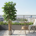 Artificial Oak 170cm – Realistic Artificial Tree for Your Home Bild 2