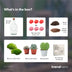 DIY Love Terrarium: Heart Plant & Succulents in Glass Bild 3