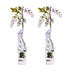 2x Blauregen 'Caroline' – Wisteria sinensis – 65cm hoch – Ø15cm Topf Bild 1