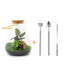 Flaschengarten DIY-Set mit Calathea & LED-Lampe Bild 1