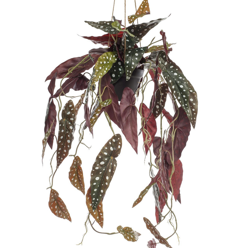 Kunst-Begonie Maculata 'Forellenbegonie' 80cm – Exotische Deko
