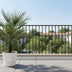 Chamaerops Humilis Zwergpalme – 150cm, frosttolerant, für Sonne Bild 3