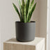 Elho B.for soft Antraciet - 16cm Bild 4