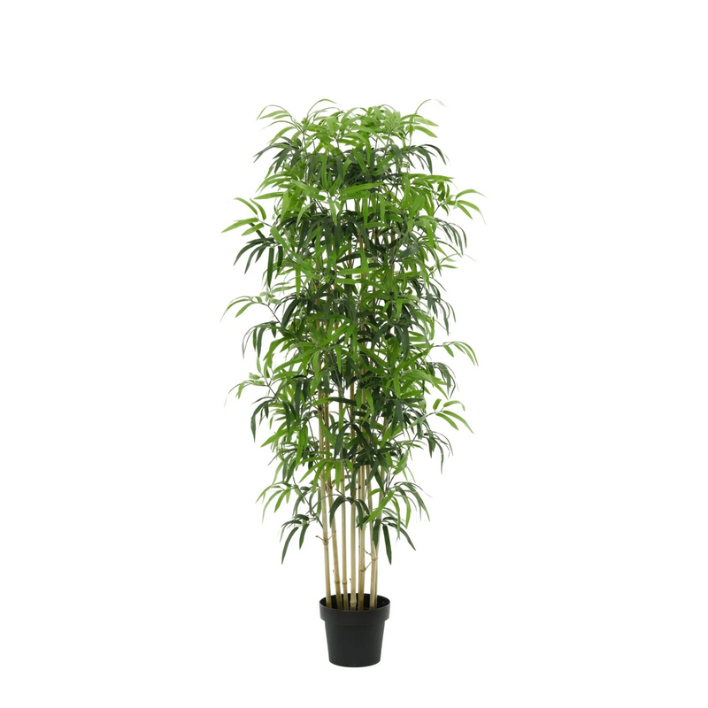 Kunstbambus 150cm – Asiatisches Flair ohne Pflege