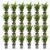 Green boutiQ - 24x Buxus sempervirens - Palmenbäumchen - Heckenpflanzen - Immergrün - Grün - Topf 9cm - Höhe 20-25cm Bild 10