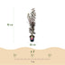 Japanischer Ahorn 'Skeeters Broom' - Rot, 90cm, Topf 26cm Bild 3