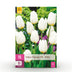 GreenboutiQ Triumph Tulpenzwiebeln Weiß - 15 XXL Zwiebeln, Hardy Perennial Bild 1