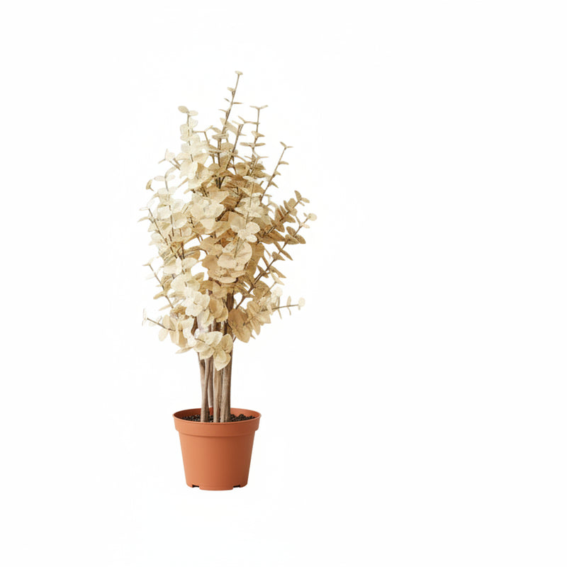 Künstlicher gelber Eucalyptus, 125cm – pflegeleichte Deko-Pflanze