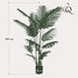 Künstliche Howea Forsteriana Palme 160 cm – Indoor-Paradies Bild 2
