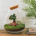Bottle Garden Drop XL DIY Terrarium with Plants & Tools Bild 2