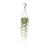Ceropegia Woodii Hanging Plant in 14cm Pot - 50cm Bild 1