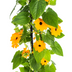 4x Thunbergia alata Sunny Susy Orange, Ø13cm, 60cm hoch Bild 2