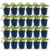 Green boutiQ - Perennial - Geranium 'Rozanne' - Crane's-bill - Ground cover - Blue - 24 Plants - Pot 11cm - Height 15-25cm Bild 1