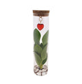 Mix In Tube Glas + Jewel (hartje) - Ø7cm - ↕15cm