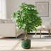 Künstliche Schefflera Arboricola, 120cm – Natürliche Deko ohne Pflege Bild 2