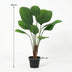 Künstliche Licuala Grandis Palme, 104 cm Bild 2