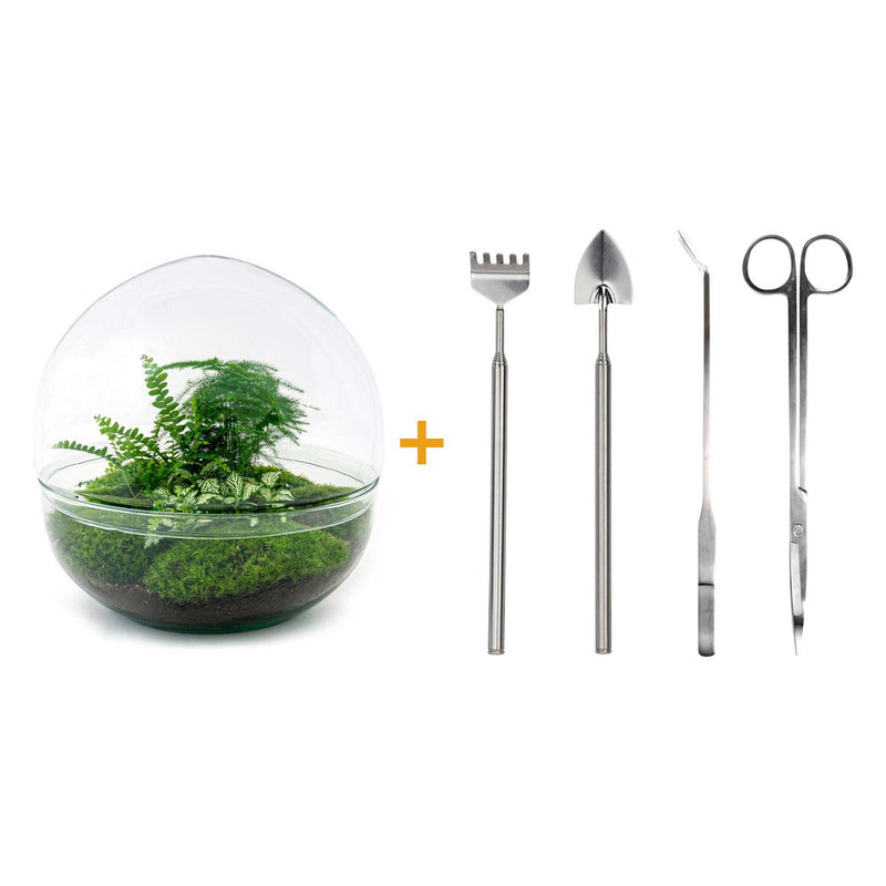 Bottle Garden Dome XL: DIY Mini Ecosystem 30cm