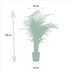 Areca-Palme (Dypsis Lutescens) Ø21cm | Höhe 130cm Bild 2