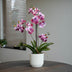 Orchidee Vanda rosa 2 Stück - Bündelprodukt - Kunstpflanzen Bild 4